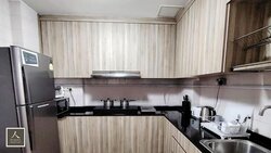 Dover Parkview (D5), Condominium #457647081